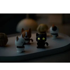 Hoptimist Cat