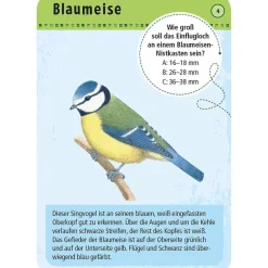 Moses Kartenset - 50 heimische Vögel
