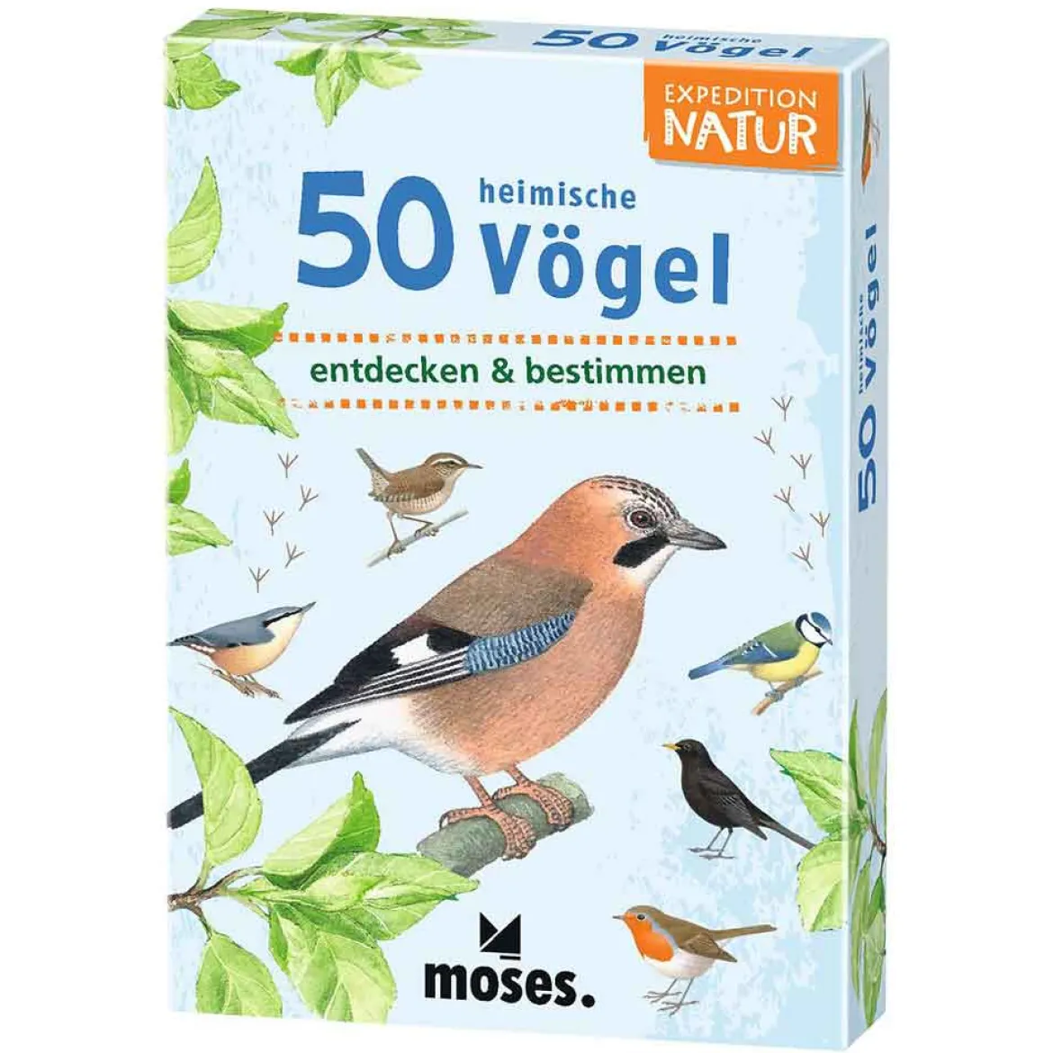 Moses Kartenset - 50 heimische Vögel "Expedition Natur"