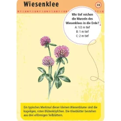 Moses Kartenset 50 heimische Blumen 
