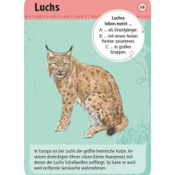 Moses Kartenset 50 heimische Wald- & Wildtiere