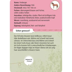 Moses Kartenset 50 Pferde & Ponys "Expedition Natur"