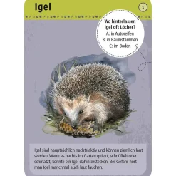 Moses Kartenset 50 Tiere der Nacht "Expedition Natur"
