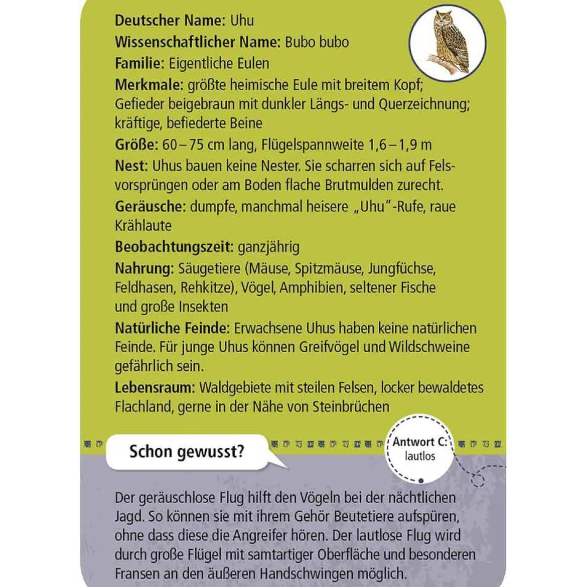 Moses Kartenset 50 Tiere der Nacht "Expedition Natur"