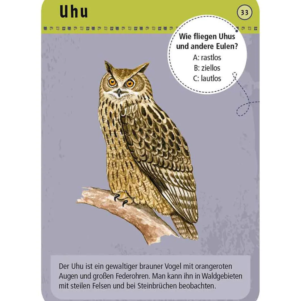 Moses Kartenset 50 Tiere der Nacht "Expedition Natur"