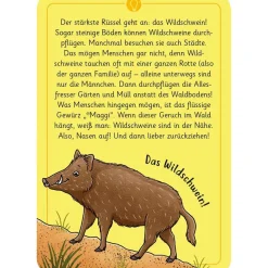 Moses Kartenset 50 Tierrätsel - Wald 