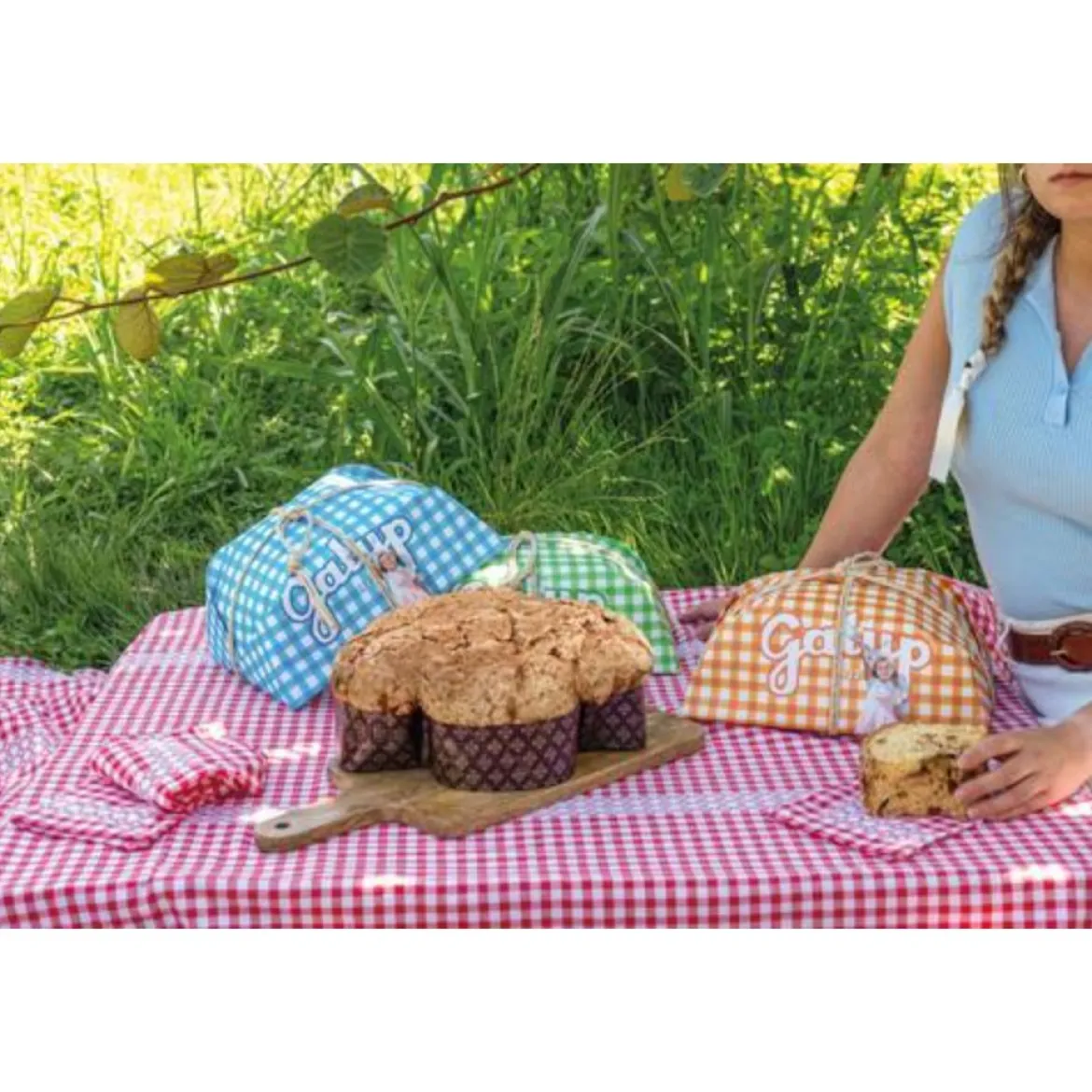Venchi Hefekuchen "Colomba Tradizionale"