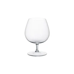 Villeroy & Boch Purismo Specials Cognacschwenker 137mm