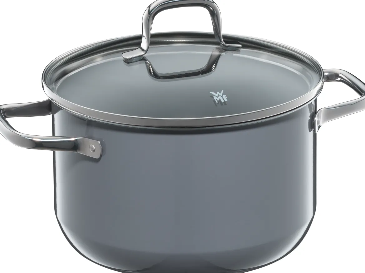 WMF Fusiontec Essential Fleischtopf mit Deckel, 20cm Calm Grey